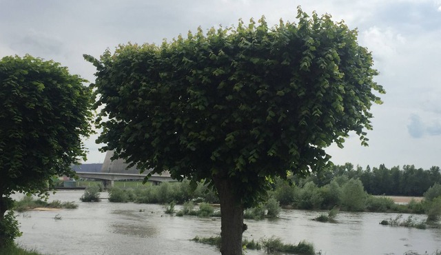 Double studio, near the Belleville power station on the banks of the Loire.