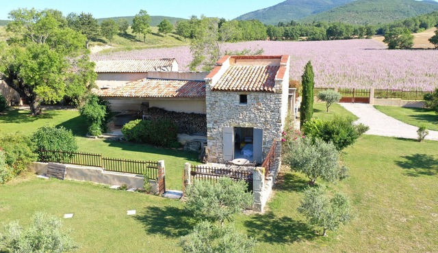 Dovecote in stones in the middle of the lavenders