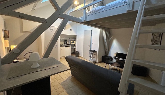 Downtown apartment - Drouaise - mezzanine - sleeps 4