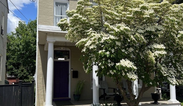 Downtown Frederick Charm w/Modern Comfort - Walk to Market St! Rare SF w/Yard