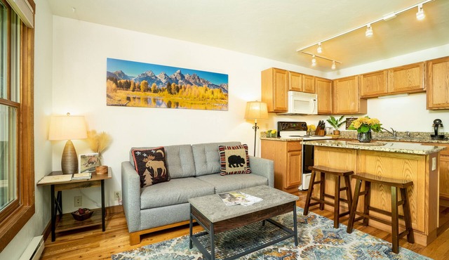Downtown Jackson Condo on Flat Creek - Hidden Gem - walking distance to Square!