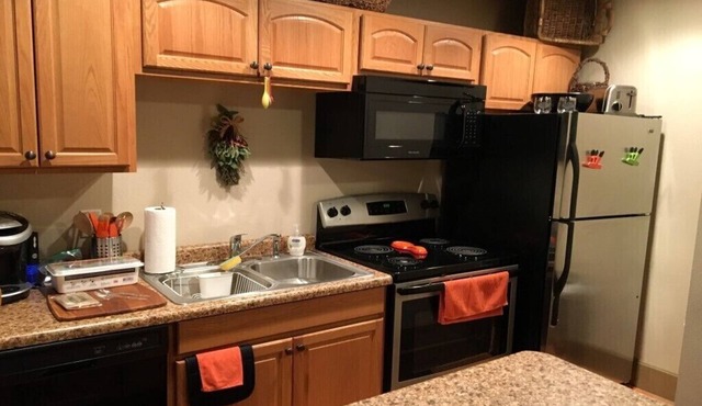 Downtown Spacious 1 bedroom