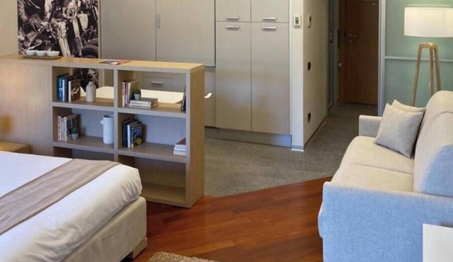 (Downtown) Spacious studio apartment suitable for families. Near Valentino Park