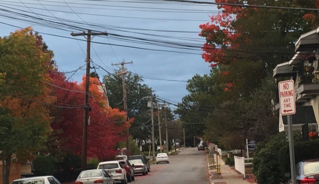 Downtown Westborough one bedroom condo with treetop views and private parking