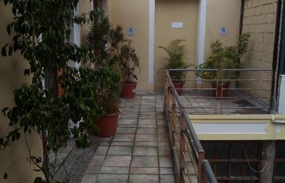 DPTO 7