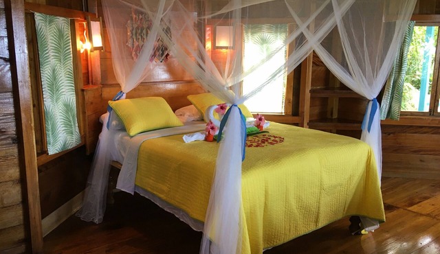 Dragon fly Cottage