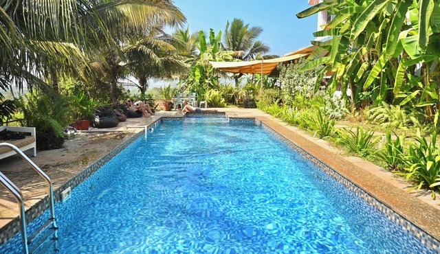 Dragonfly Goa