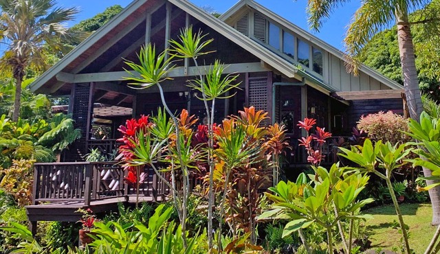 Dragonfly Lodge, a Tropical Retreat House