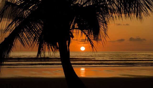 Dramatic Ocean View and Exclusive Island Beach - Ocean View Room #4