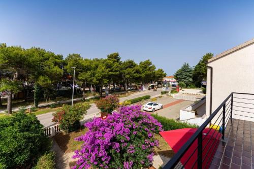 Drazen Charming First Floor Apartment