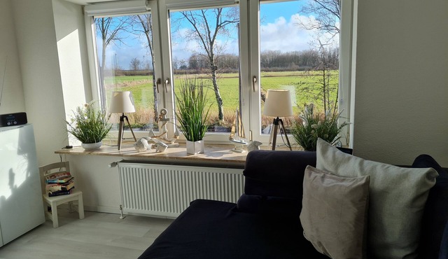 Dream accommodation with its own jetty and garden!
