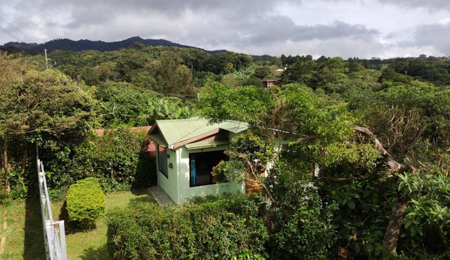 Dream Mountain Monteverde, Cecropia Paradise