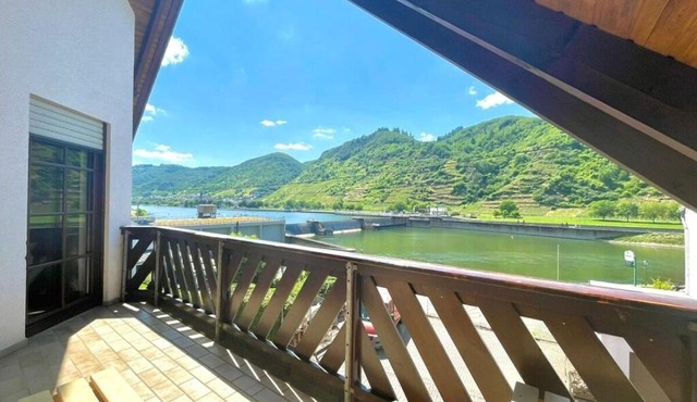 Dream views & wellness