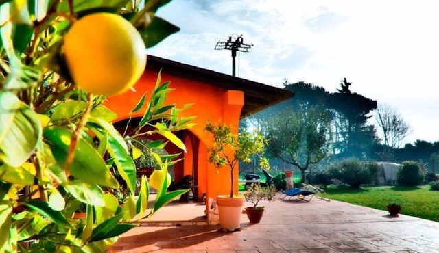 Dreams Valley B&B