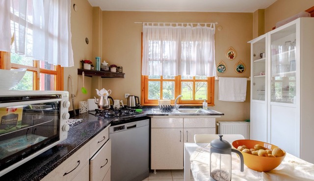 Dreamy Duplex Villa with Huge Garden in Kocaelı