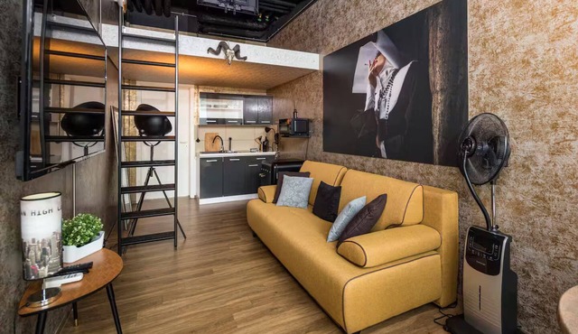 Dresden Loft by the Elbe river