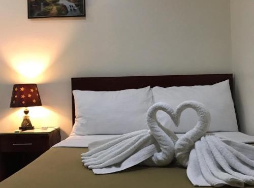 Drew Hostel