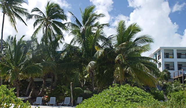 Driftwood First Floor Condo at Hoopers Bay With Stunning Views