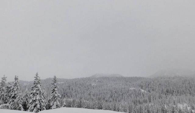 Drive Up Condo - Walk to Mount Washington