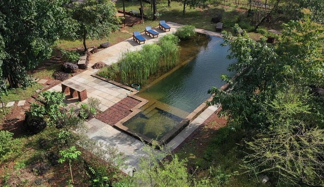Dudhsagar Plantation