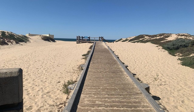Dune Surfer Inn