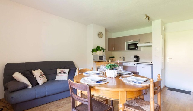 Duplex 6 pers with balcony and parking in Bourisp