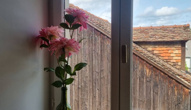 Duplex apartment Genlis center