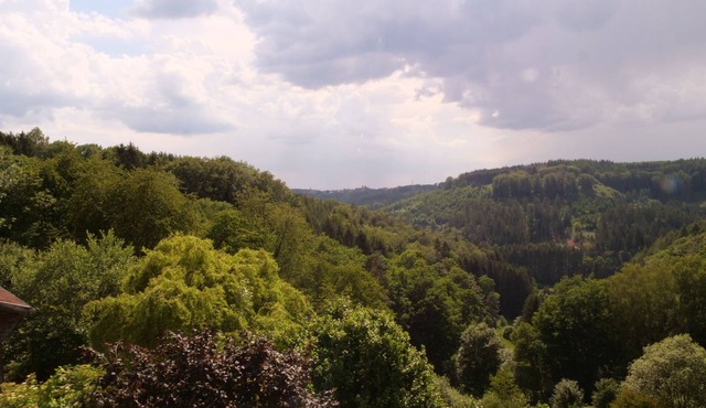 Duplex apartment, large terrace, Parc Naturel des Vosges du Nord