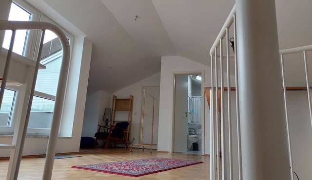 Duplex apartment over 2 levels with roof terrace near the Elbe in Dresden-Blasewitz
