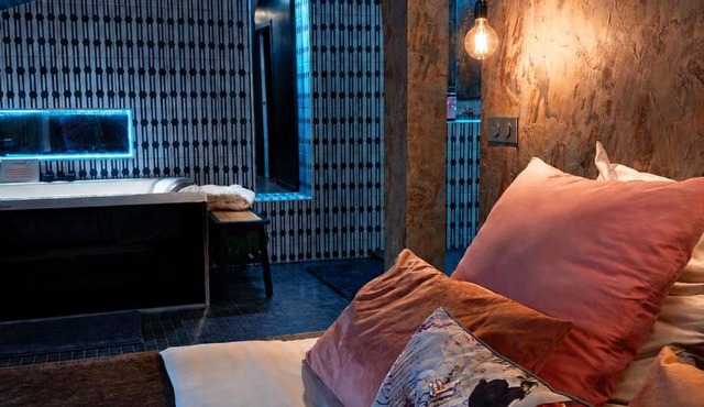 Duplex "La Crypte" Sauna & Balnéo et Climatisation - Haguenau Centre