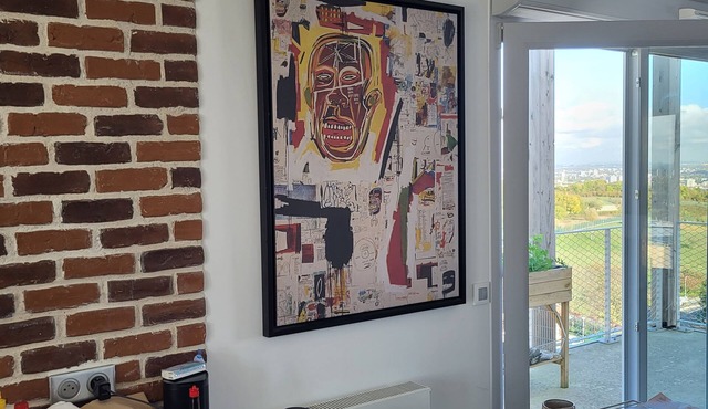 DUPLEX OVERLOOKING PARIS 10 MIN FROM PORTE DES LILAS