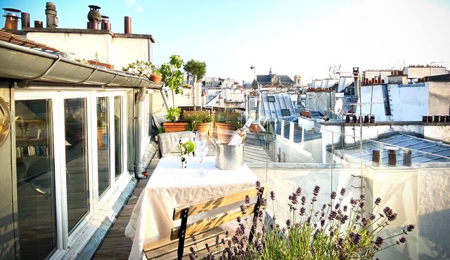 Duplex With Terrasse and vue on the Eiffel Tower