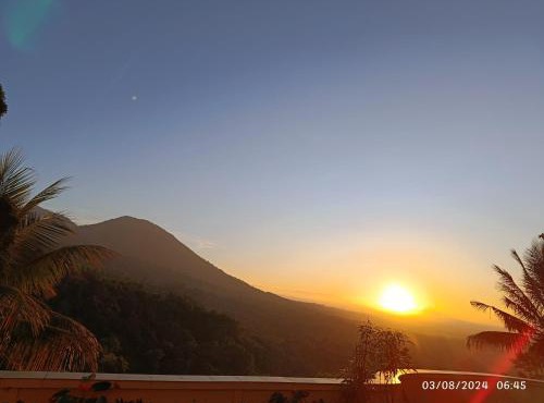 DWan Tea Mountain Side