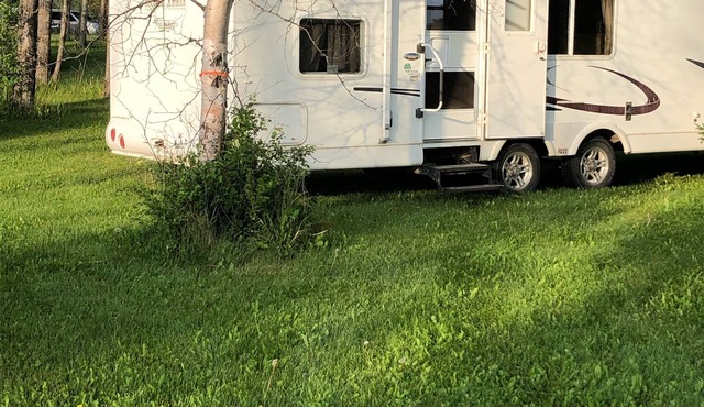 Eagle- Camper at Sunset Bay