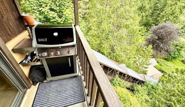 Eagles Nest - epic blufftop cabin Squamish