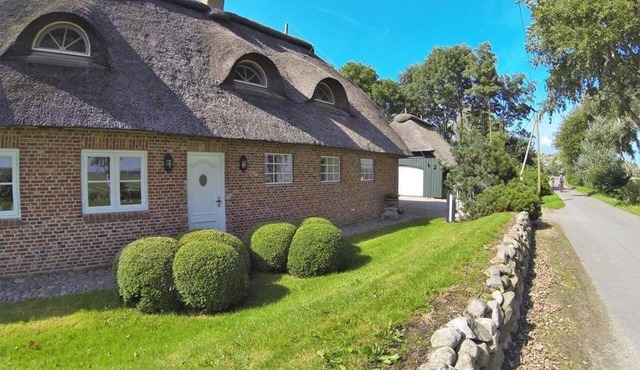 Easter dike Molehill - Thatched semi-detached house Molehill