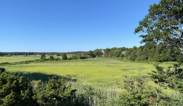 Eastham, Cape Cod: Spacious, contemporary cape with expansive marsh views