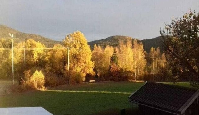 Ebner Comfortable Holiday Residence