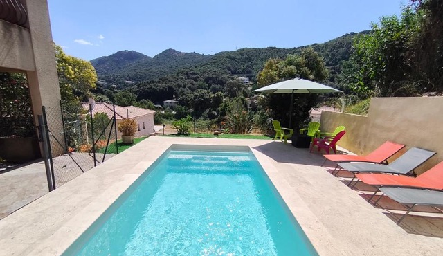 Eccica - Bottom of villa, quiet garden, and pool