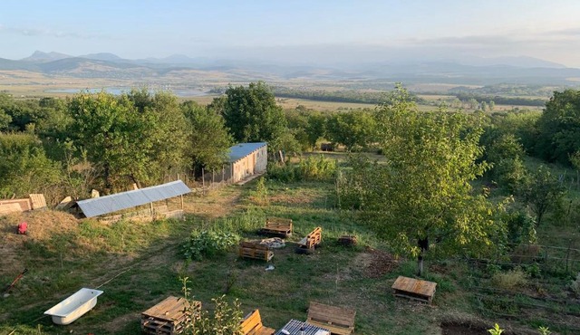 Eco family guest house