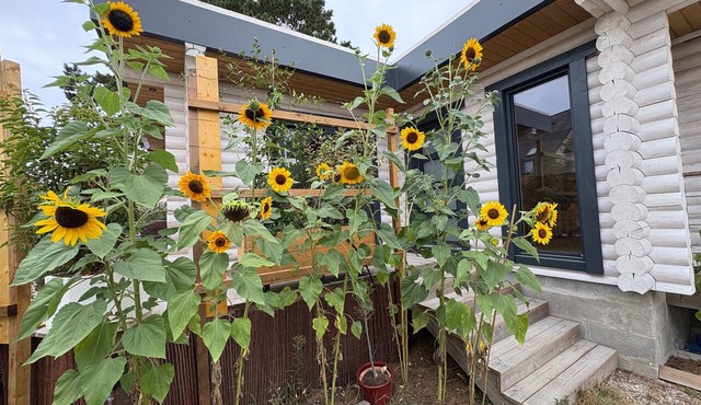 Eco-Friendly Wooden Holiday Home with Terrace, Wi-Fi, and AC 300m from the Sea