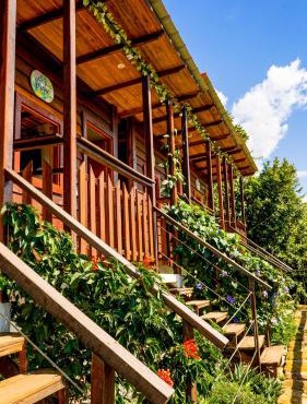 Ecodreamers Curiti