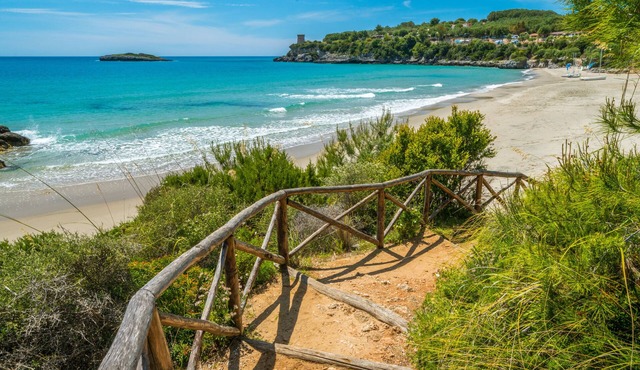 Ecolodge Selvitelle - Sustainable Retreat Amidst Olive Groves in Cilento