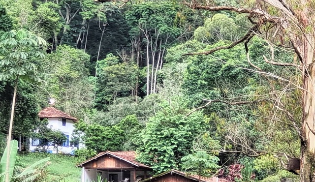 Ecological paradise on a farm 100km from Rio in the middle of the Atlantic Forest reserves