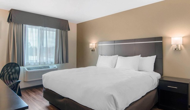 Econo Lodge Inn & Suites Springfield Main Street
