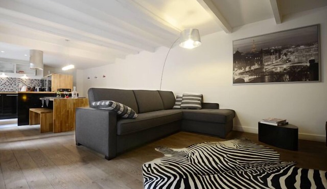 Ecrin à Bijoux - Central and Charming apartment with A/C in historical property