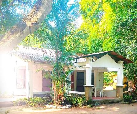 Eden Garden