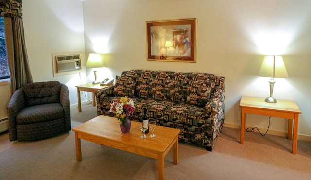 Efficiency with Sleeper Sofa only 220
