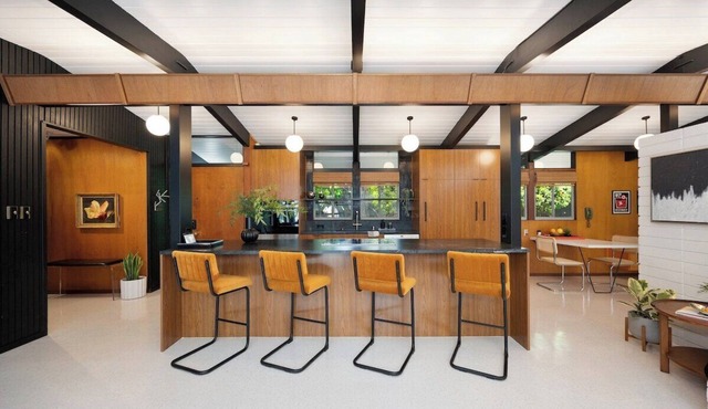 Eichler's MCM | Fireplace, Netflix, Games