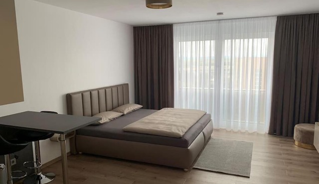 Eine gemütliche Einzimmerwohnung